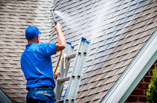 coral springs roof cleaning